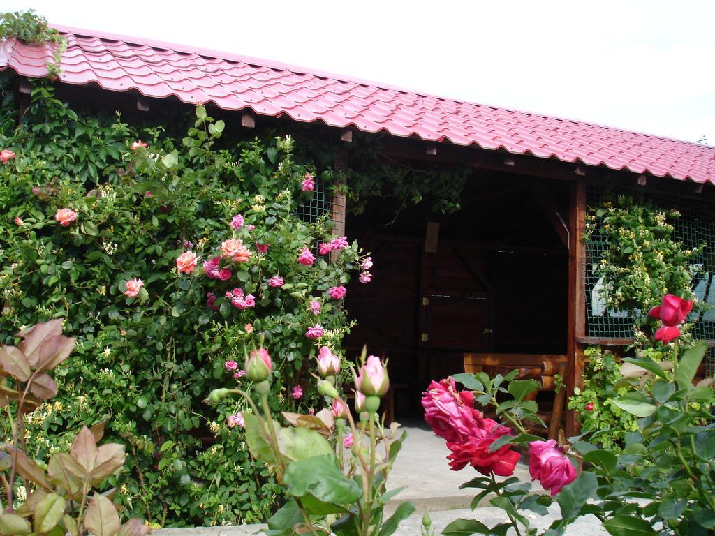Vila Albatros Vama Veche Exterior photo