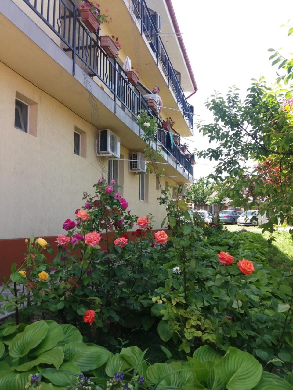 Vila Albatros Vama Veche Exterior photo